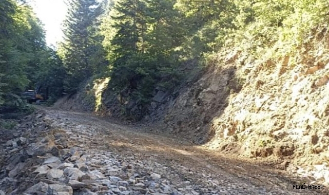 Orman Yolları Ulaşıma Açıldı