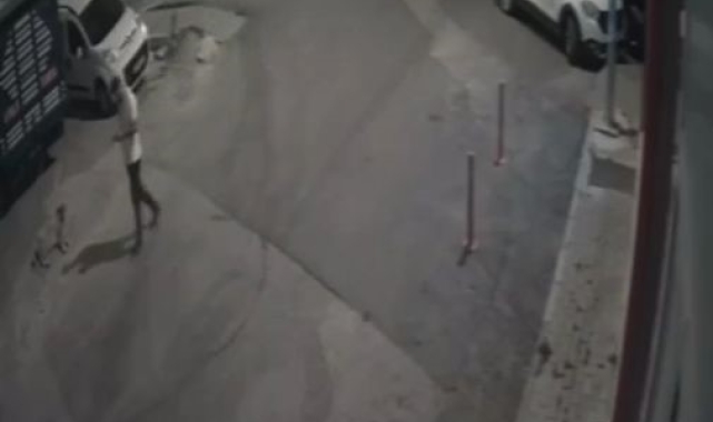 Sahipsiz köpeği bıçaklayarak öldürdü: Görüntüler güvenlik kamerasına yansıdı