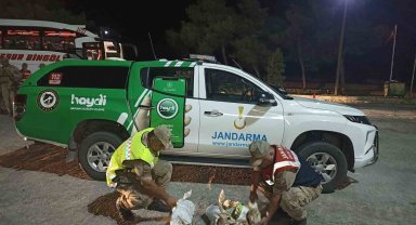 Şanlıurfa'da çuvallara sarılmış halde 4 yaralı ceylan yavrusu ele geçirildi