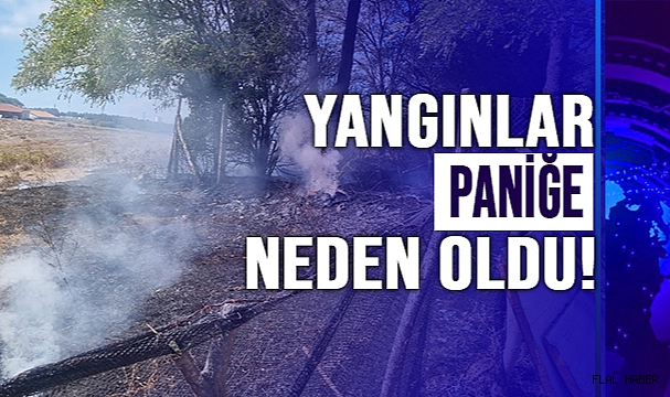 Sinop’ta çıkan eş zamanlı yangınlar korkuttu