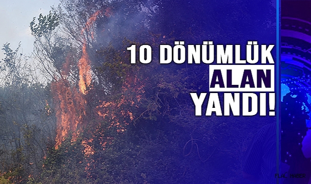SİNOP'TA YANGIN