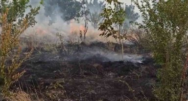 Tatvan'da örtü yangını
