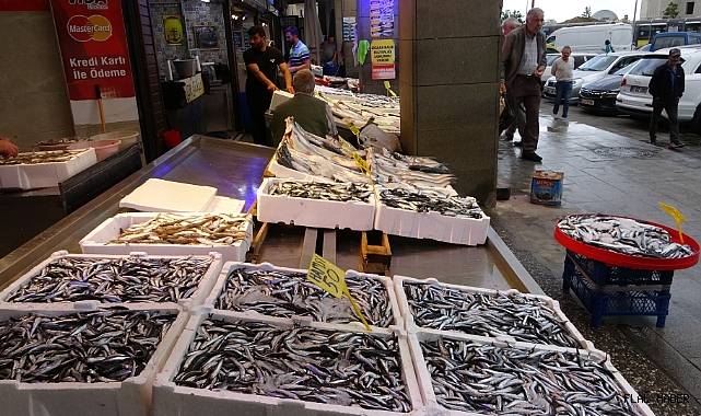 Trabzon’un balığı Sinop’tan