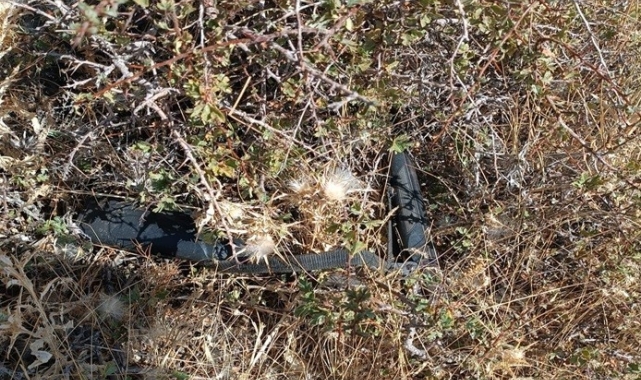 Afganistan uyruklu çobanın cinayet şüphelisi yakalandı