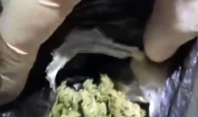 Ağrı'da uyuşturucu operasyonu: 9 tutuklama