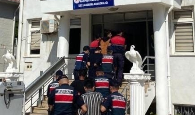 Avokado hırsızları yakalandı