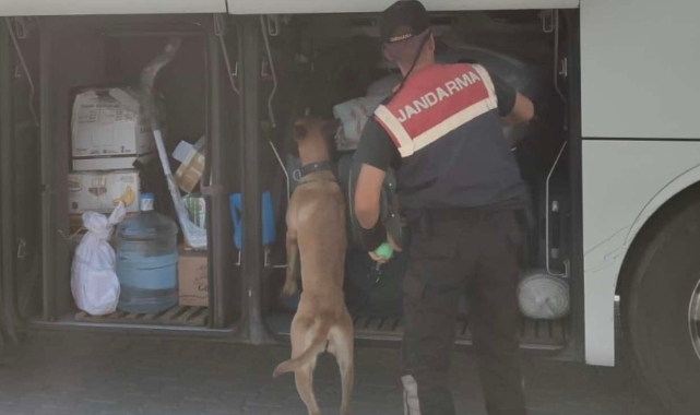 Aydın'da jandarma ekipleri düzensiz göçe geçit vermiyor