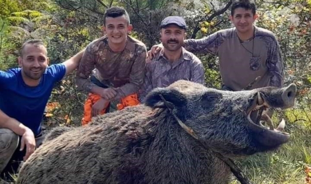 Bartın'da üreticinin domuz seferberliği