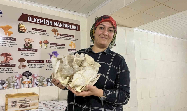 Başkan Bozdoğan: "Ürünü değer görmeyen üreticimizin ürününü hak ettiği değere ulaştırmak hedefimiz"