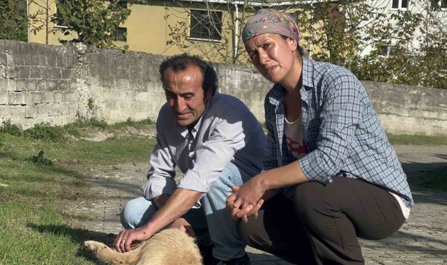 Beslediği köpeği darp edilerek öldürüldü