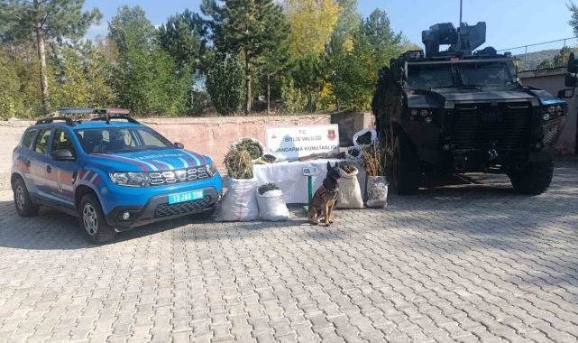 Bitlis'te 28 kilo 560 gram kubar esrar ve 2 kilo 380 gram esrar tohumu ele geçirildi