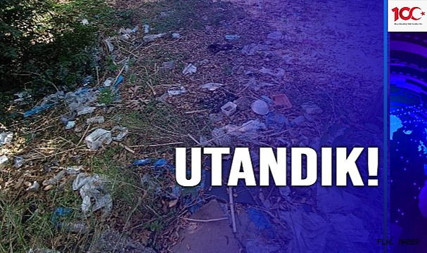 BU KENTE YAKIŞMADI!