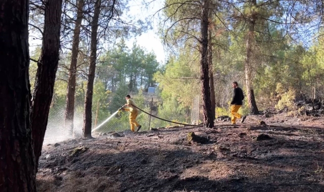 Burdur'da orman yangını ekiplerin hızlı müdahalesi ile söndürüldü
