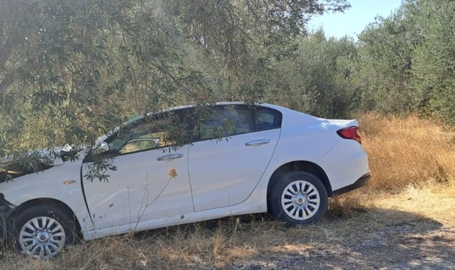 Çanakkale'de otomobil zeytin ağacına çarptı: 1 ölü, 1 yaralı