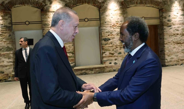 Cumhurbaşkanı Erdoğan, Somalili mevkidaşı Hasan Şeyh Mahmud ile görüştü