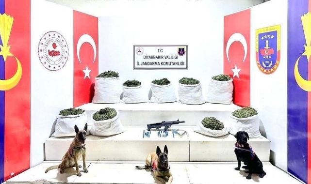 Diyarbakır'da 364,5 kilo uyuşturucu ile 150 bin kök skunk bitkisi ele geçirildi