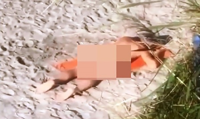 Dünyaca ünlü plajda 'çıplak turist' vakası
