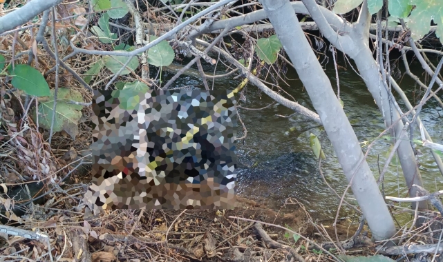 Eve gelmeyince arama çalışması başlatılmıştı, cansız bedeni bulundu