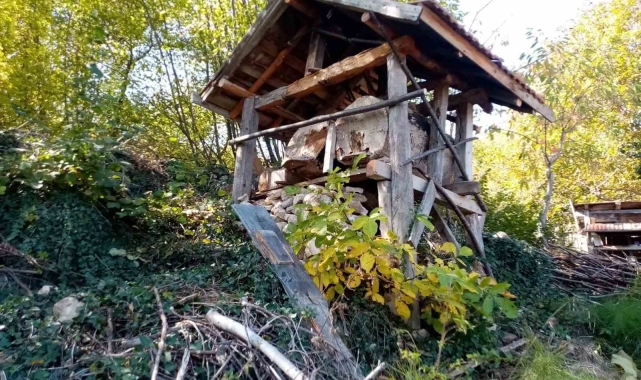 Evin bahçesine kadar gelen ayı, 40 kovan arıya zarar verdi