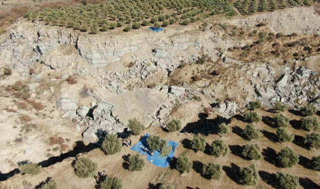 Fay hattının ortadan ikiye ayırdığı bahçede tedirgin eden hasat başladı
