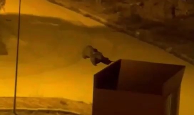 Gümüşhane'de üniversiteye ayı girdi