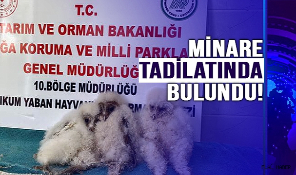 GÜVENLİ ELLERDELER!