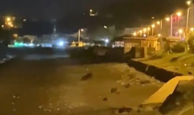 Havalar soğudu, Karadeniz'de sahiller ayılara kaldı