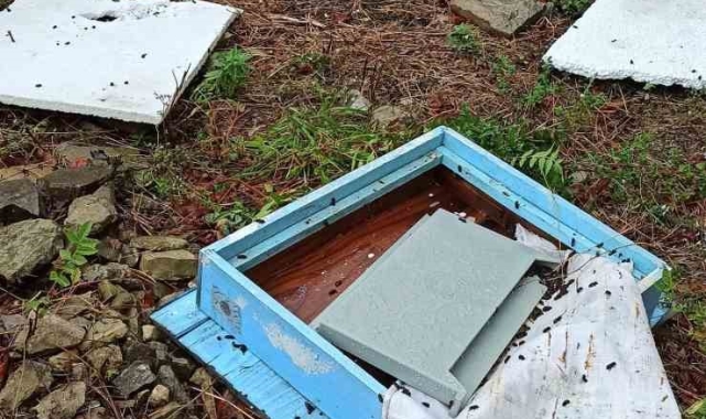 İlçe merkezine inen ayı kovanları parçaladı