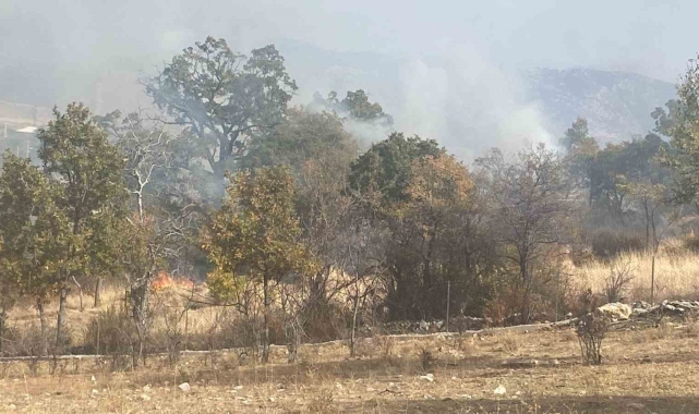 Isparta'da 10 dekar alan küle döndü