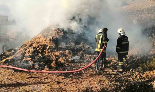 Isparta'da samanlık yangını korkuttu