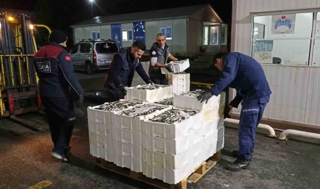 İstanbul'da su ürünleri denetlendi: 7.5 ton su ürününe el konuldu