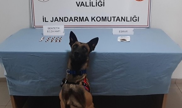 Jandarmadan uyuşturucu baskını