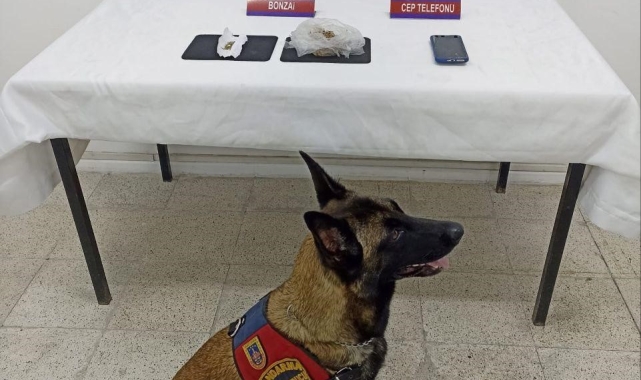 Jandarmadan uyuşturucu operasyonu, 23 gram bonzai ele geçirildi