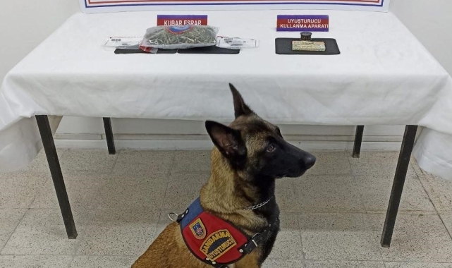 Jandarmadan uyuşturucu operasyonu