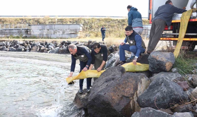 Kars'ta göllere 520 bin sazan yavrusu bırakıldı