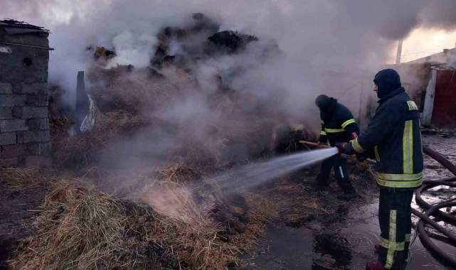 Kars'ta otomobil yanarak kül oldu