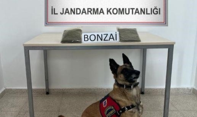 Kars'ta yolcu otobüsünde uyuşturucu ele geçirildi