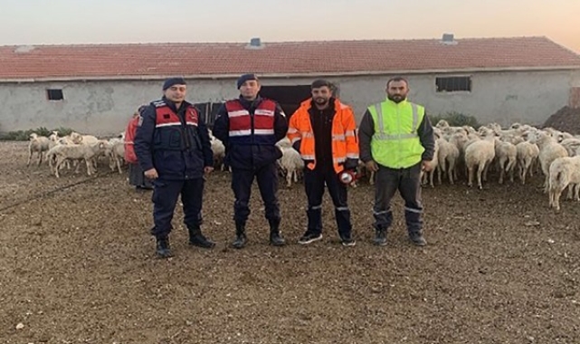 Kaybolan 200 küçükbaş hayvan 6 buçuk saat sonra bulundu