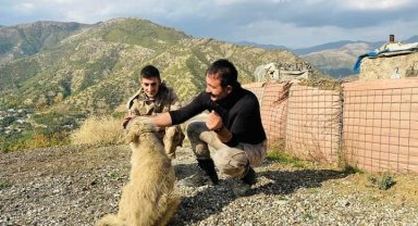 Kaymakamın bulduğu yavru köpekler güvenlik güçlerine arkadaş oldu