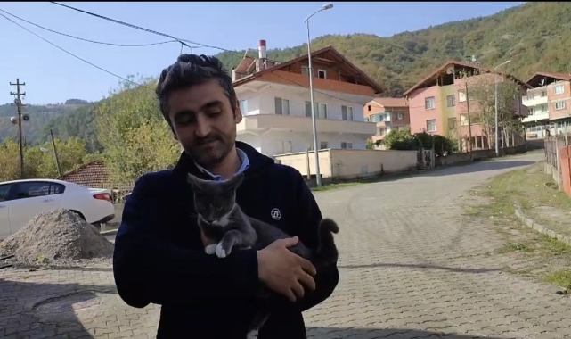 Kedinin fare ile oyunu izleyenleri gülümsetti