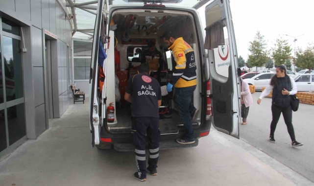 Konya'da ceviz ağacından düşen 3 kişi yaralandı