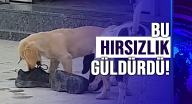 KÜÇÜK HIRSIZLAR İŞ BAŞINDA!