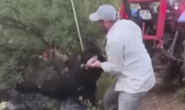 Kuyuya düşen keçi kepçeyle kurtarıldı