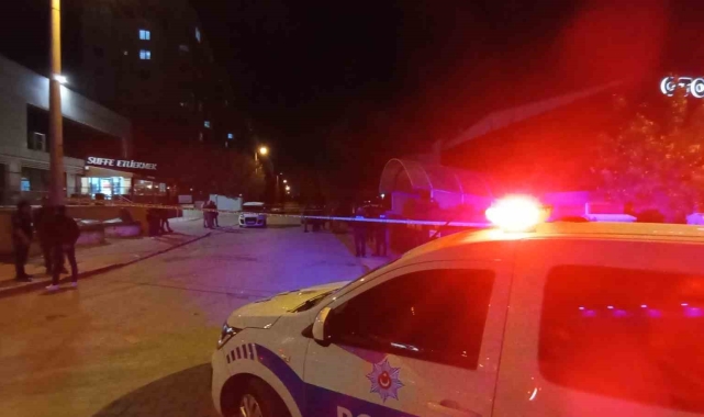 Madde bağımlısı şahıs polisin silahını almak isterken kendini vurdu