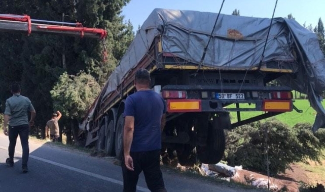 Milas'ta balık yemi yüklü tır tarlaya uçtu