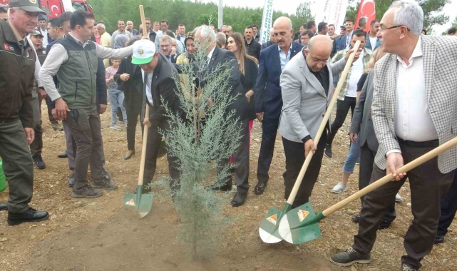 Muğla'da 100. yılda 100 fidan dikildi