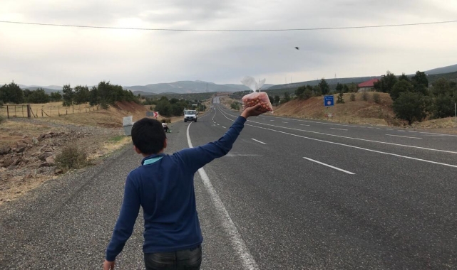 Okul harçlıklarını çıkarmak için yol kenarında 'alıç' satıyorlar