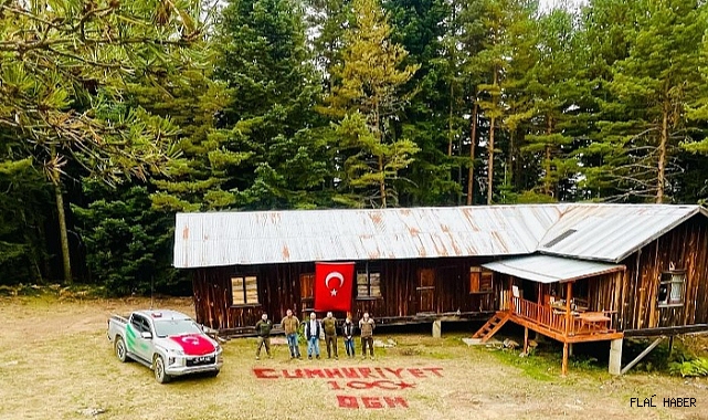 ORMAN NE GÜZEL!