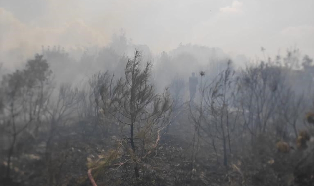 Orman yangını büyümeden söndürüldü