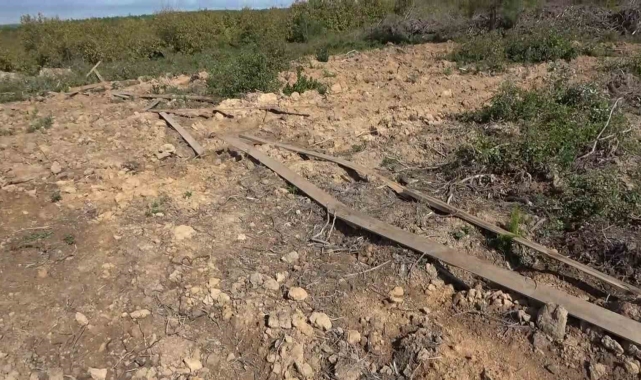 Pendik'te ormanda usulsüz satılan araziler havadan görüntülendi